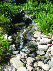 View of Algae Management for Koi Ponds and Water Gardens