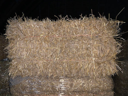 Barley Straw, Bulk Bale (makes about 5 bags)