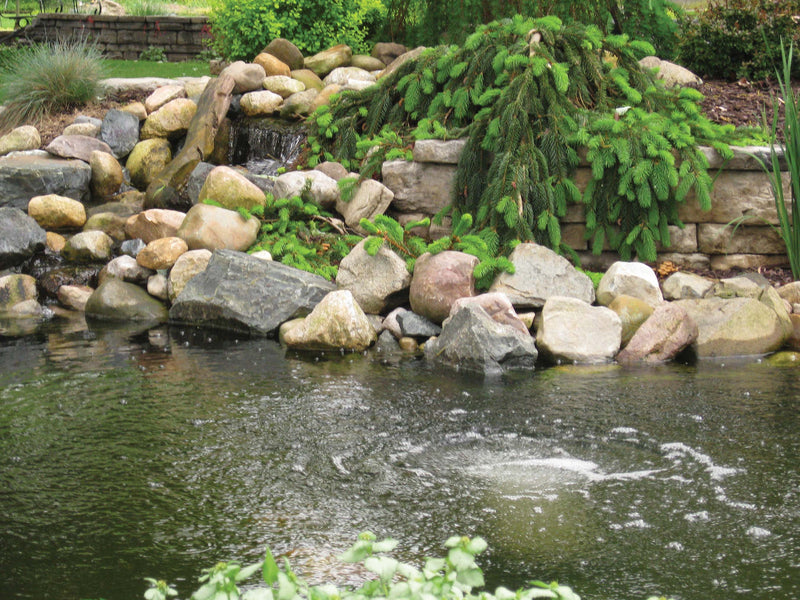 Pond Building & Kits