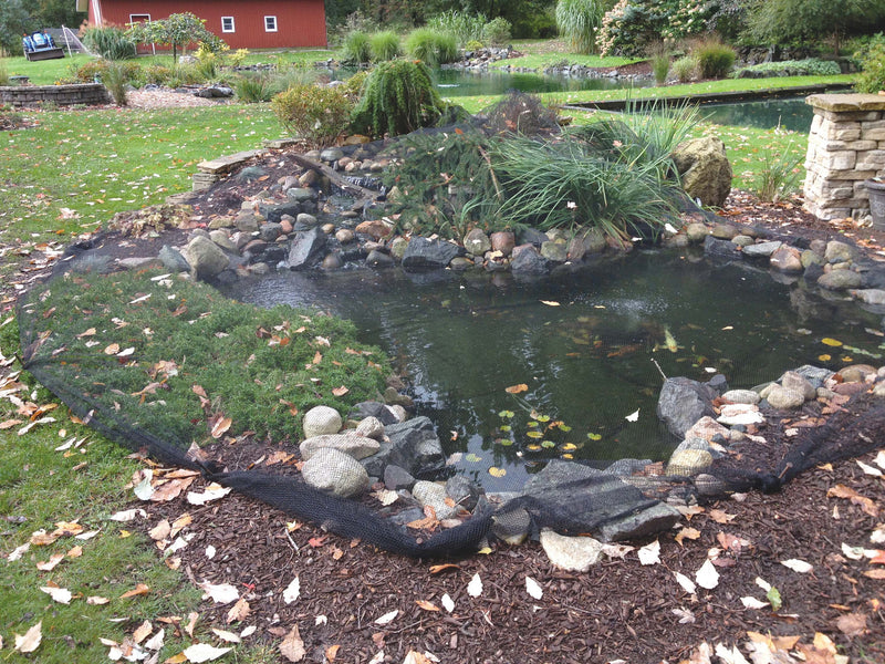 Prepare Your Pond For Winter
