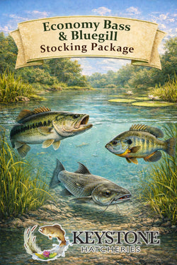 Economy Bass & Bluegill Stocking Package - WI & IL Sales Only (purchase price is 15% of total)