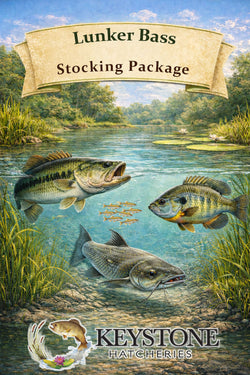 Lunker Bass Stocking Package - WI & IL Sales Only (purchase price is 15% of total)